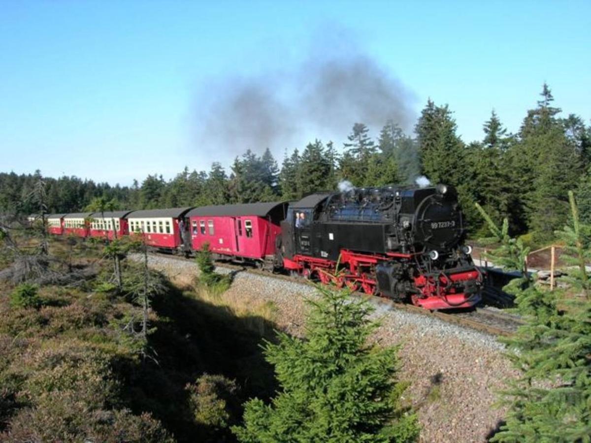 Harzhaus Rauch Lejlighed Braunlage Eksteriør billede
